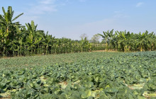 Vietnam Travel Top29