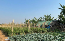 Vietnam Travel Top31