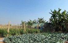Vietnam Travel Top32