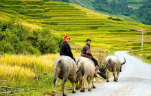Vietnam Travel Top9