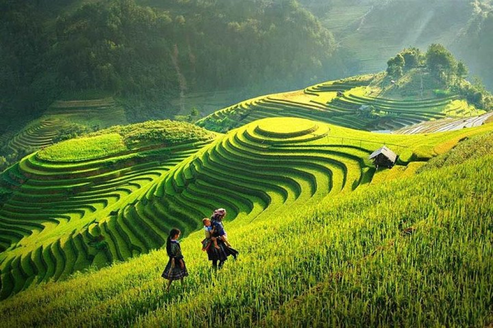 3-Day Sapa Highlands & Bac Ha Market Cultural Tour from Hanoi