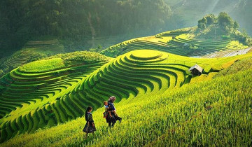 A picture of 3-Day Sapa Highlands & Bac Ha Market Cultural Tour from Hanoi