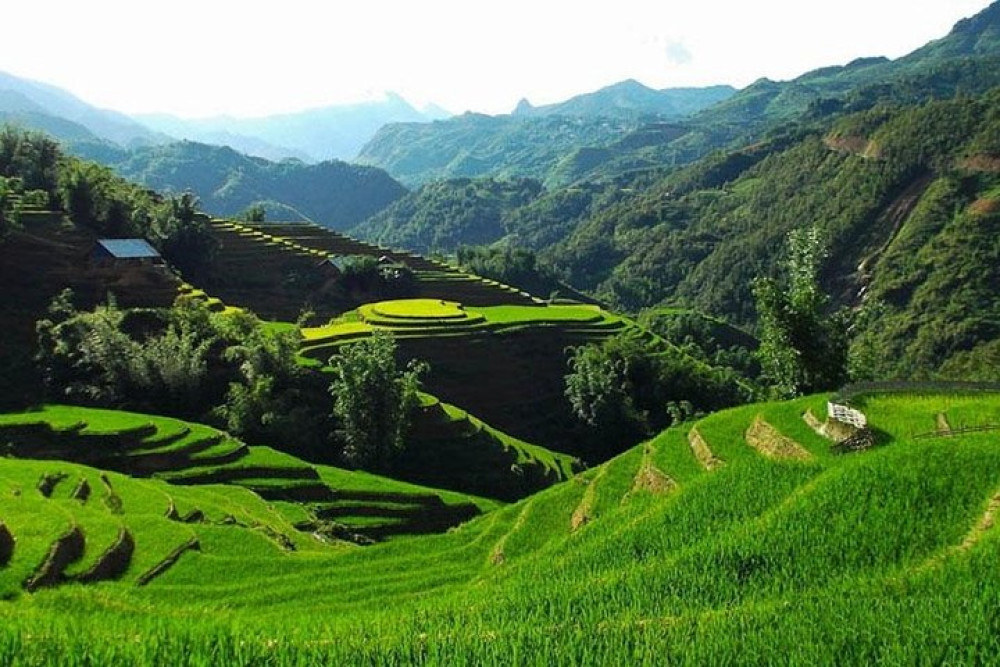 3-Day Sapa Trekking Tour with Hotel Stay from Hanoi