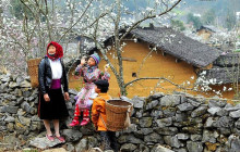 Vietnam Travel Top5