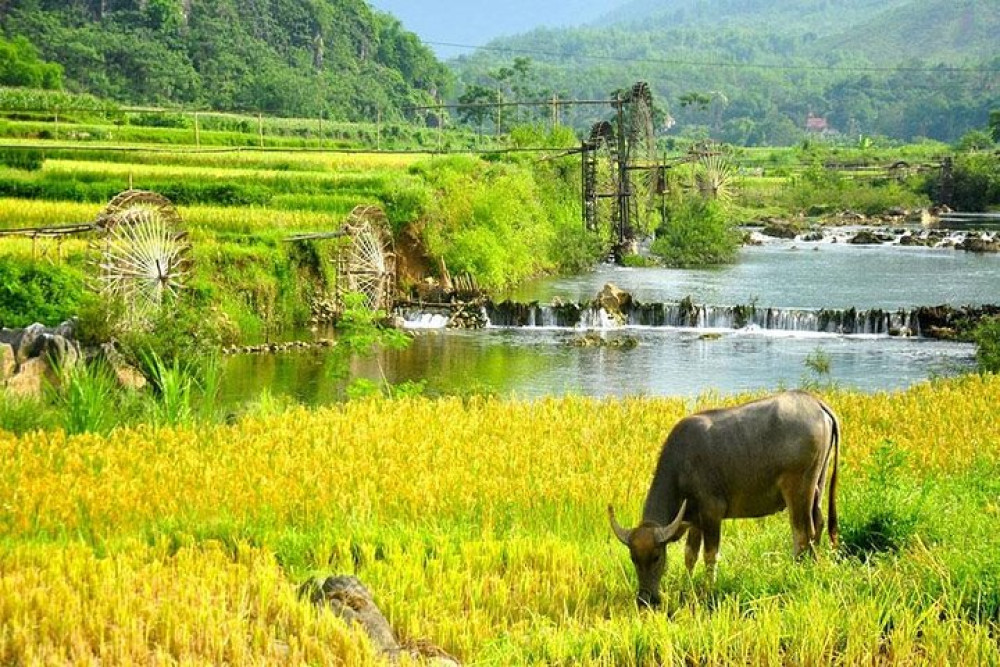 Mai Chau Countryside Day Trip with Local Lunch & Biking from Hanoi