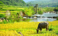 Vietnam Travel Top1