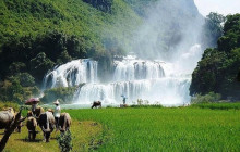 Vietnam Travel Top7