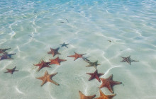 3-Stop: Starfish Point, Stingray City-Sandbar & Barrier Reef