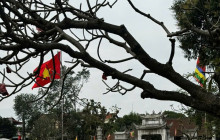 Vietnam Travel Top26