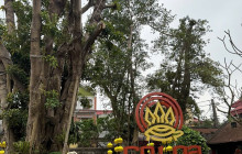 Vietnam Travel Top40