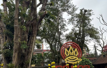 Vietnam Travel Top41