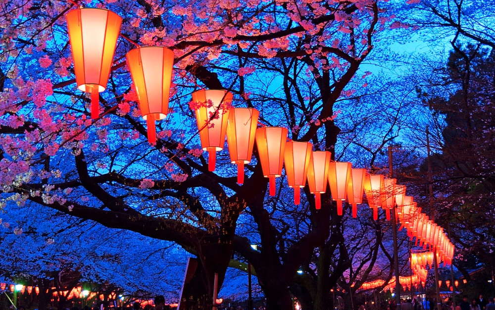 2026 TOKYO SPRING EVENING (CHERRY BLOSSOM) FOOD TOUR