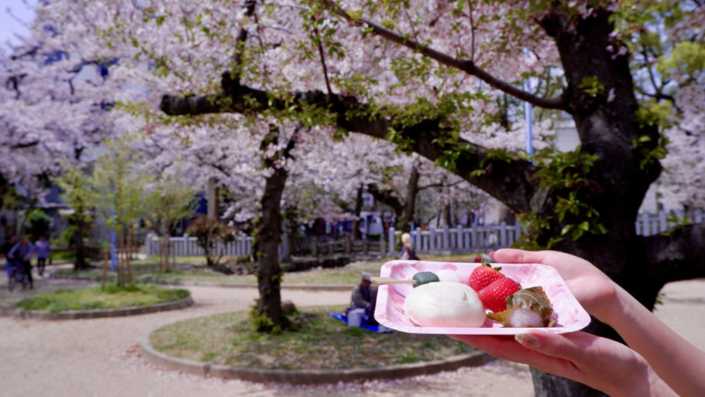 2026 OSAKA SPRING DAYTIME (CHERRY BLOSSOM) FOOD TOUR