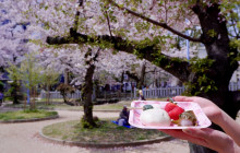 Arigato Travel KK1