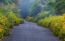 Vietnam Travel Top15