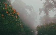 Vietnam Travel Top16
