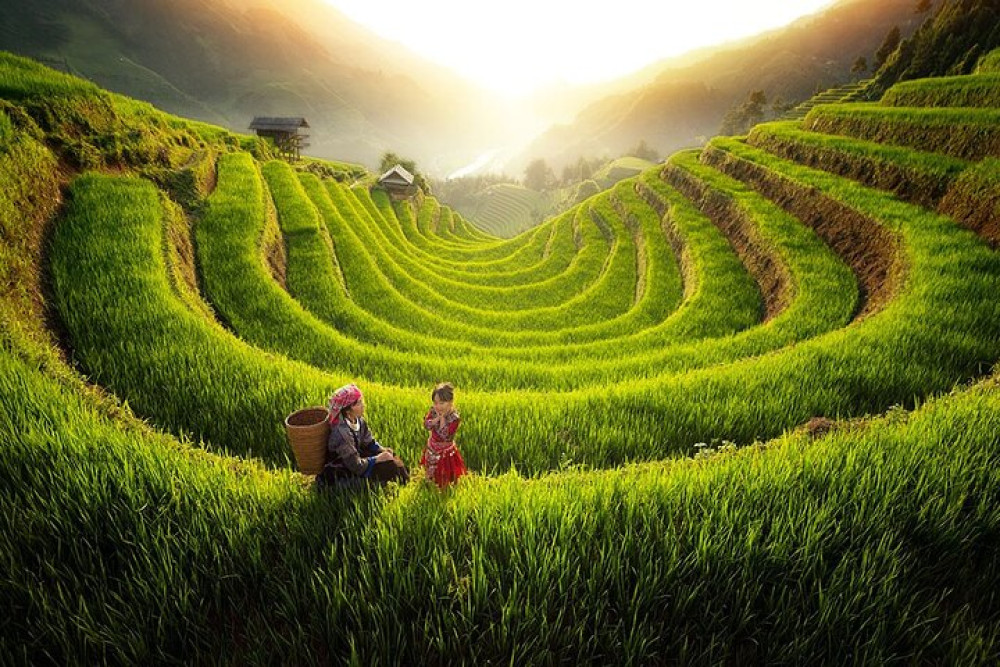 Vietnam Travel Top