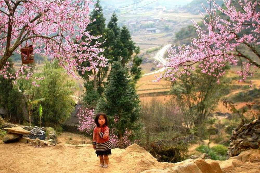 3-Day Sapa Trekking Adventure with Ta Van Homestay from Hanoi