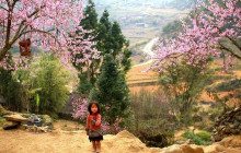 Vietnam Travel Top1