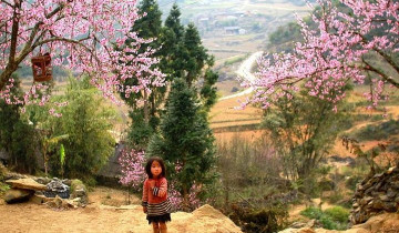 A picture of 3-Day Sapa Trekking Adventure with Ta Van Homestay from Hanoi