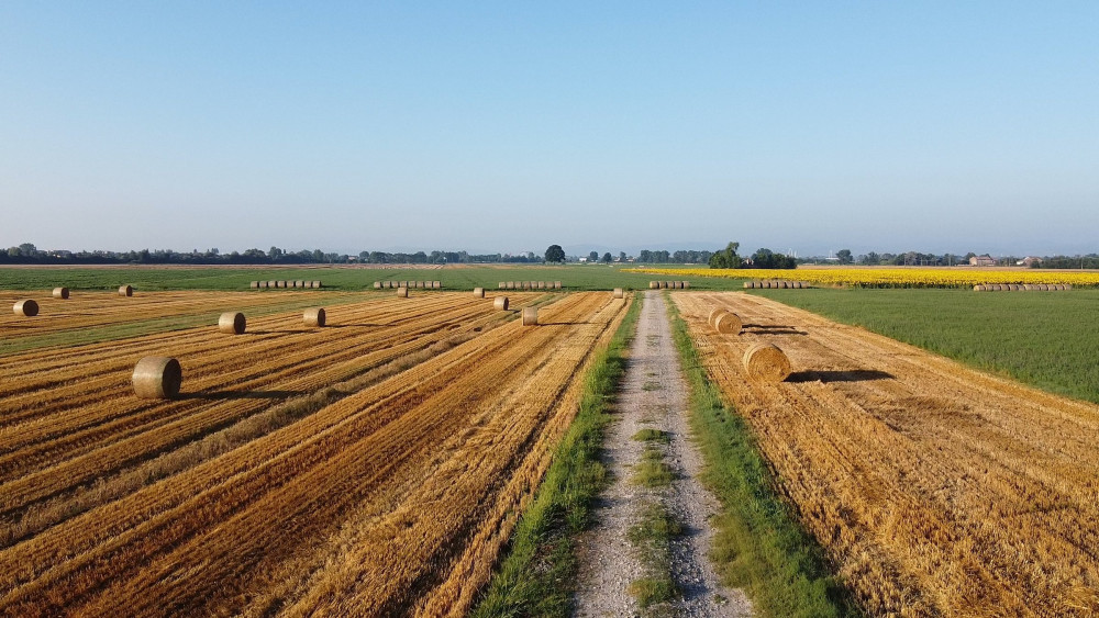 Expert-led Authentic Emilia-Romagna Food Tour from Bologna