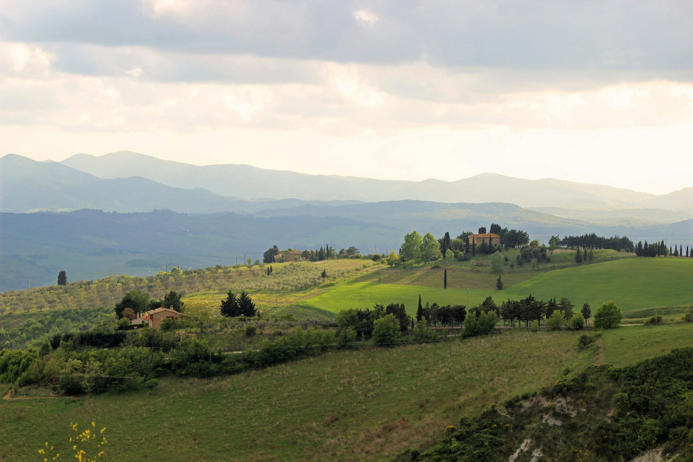 Expert-led San Gimignano and Volterra Day Trip from Siena