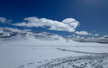 Simply Iceland ehf9