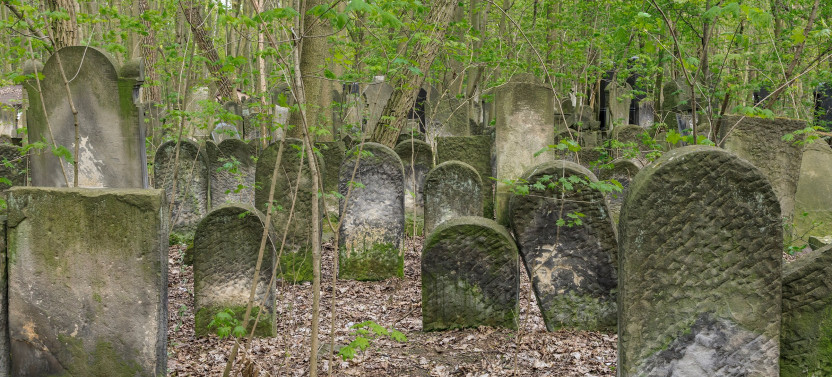 Expert-led Jewish Warsaw History Tour