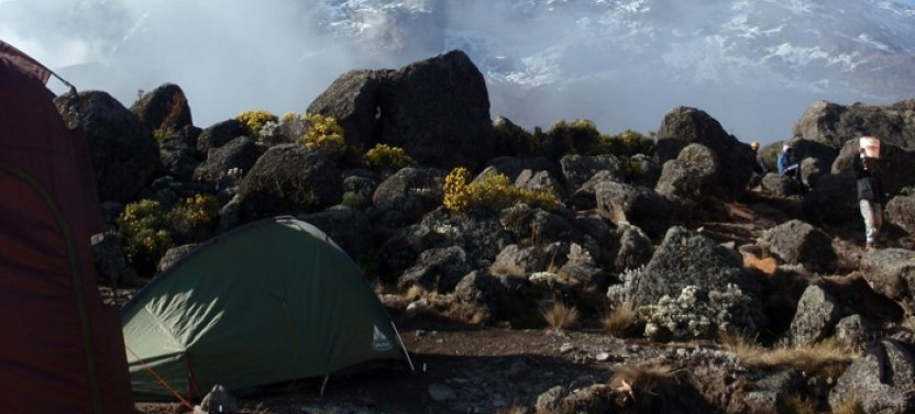 7 Day Climbing Kilimanjaro via the Machame Route