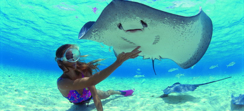Full Day Glass Bottom Boat Snorkeling Tour with Lunch on Private Island