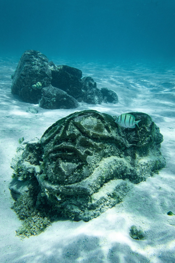 Captain Taina Moorea