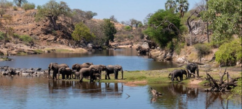 8 Day Wildlife Safari Tanzania
