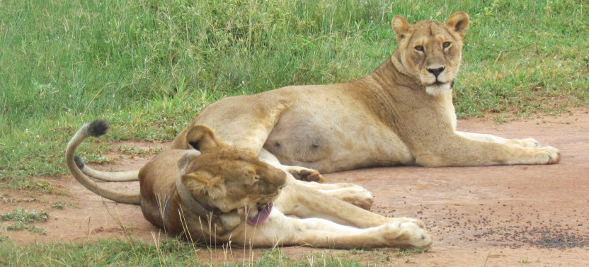 10-Day Special Namibia Safari