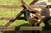 Ireland Wild Escapes6
