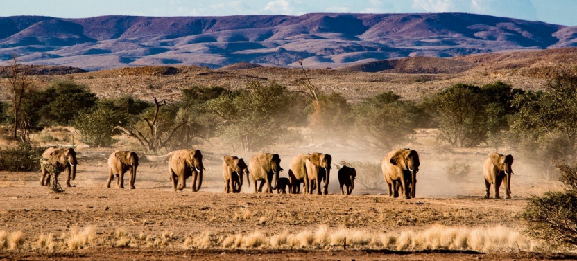 6-Day Namibia Wildlife Safari