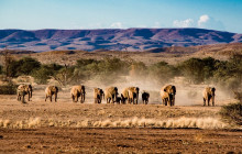 6-Day Namibia Wildlife Safari