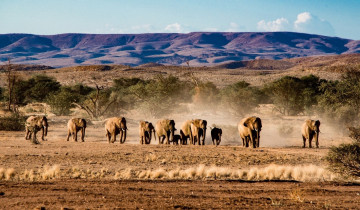 A picture of 6-Day Namibia Wildlife Safari