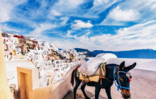iTravel Mykonos8