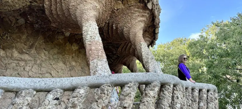Private Barcelona in a Day Tour with Sagrada Família and Park Güell, photo 4 of 5