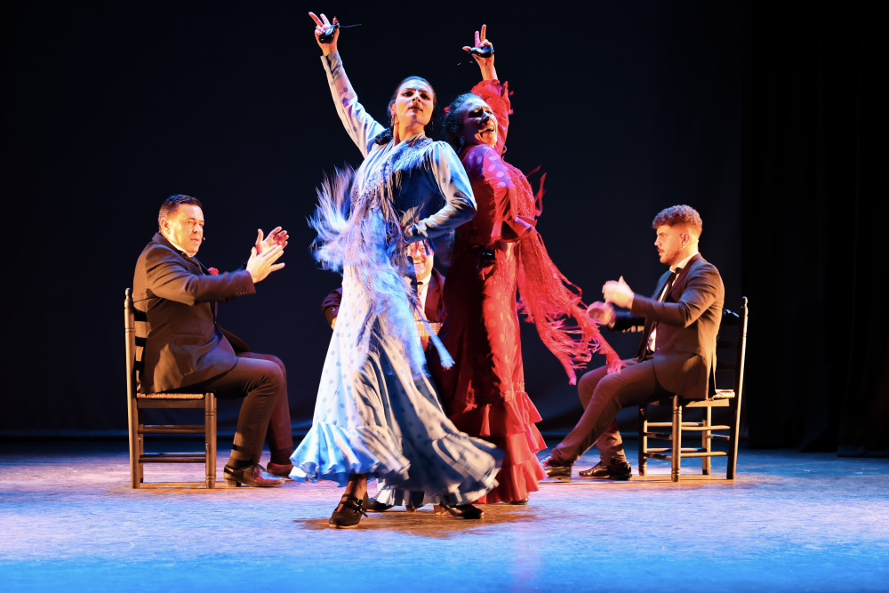 The Passion of Flamenco: Live Show & Dance Class