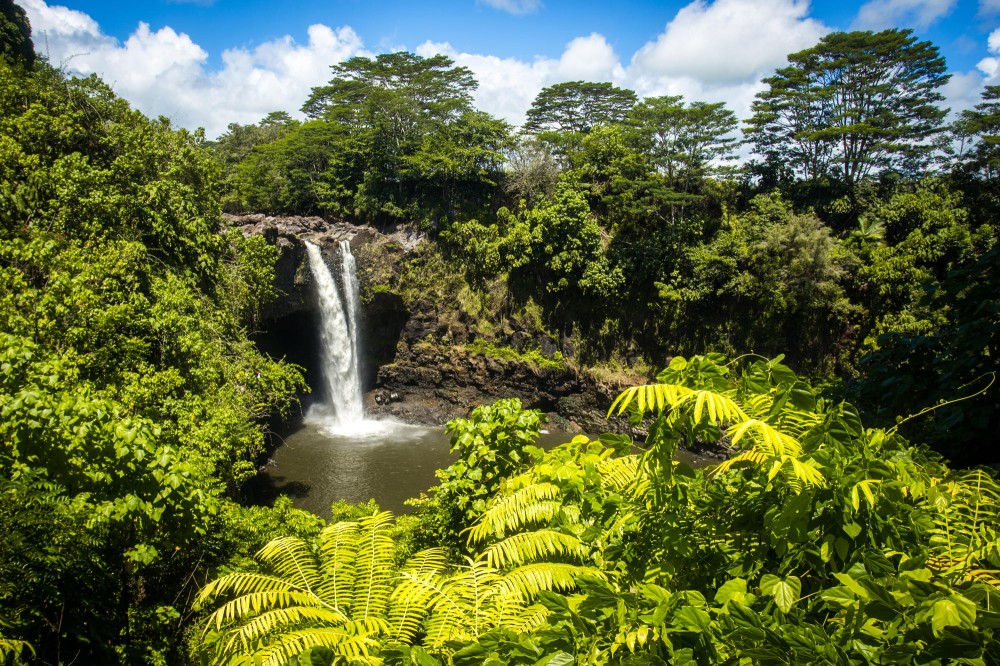 Mauna Kea Stellar Explorer from Hilo