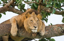 13 Day Luxury Zimbabwe Safari