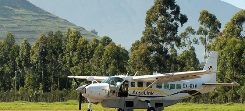 3 Day Flying Safari to Gorilla Trekking