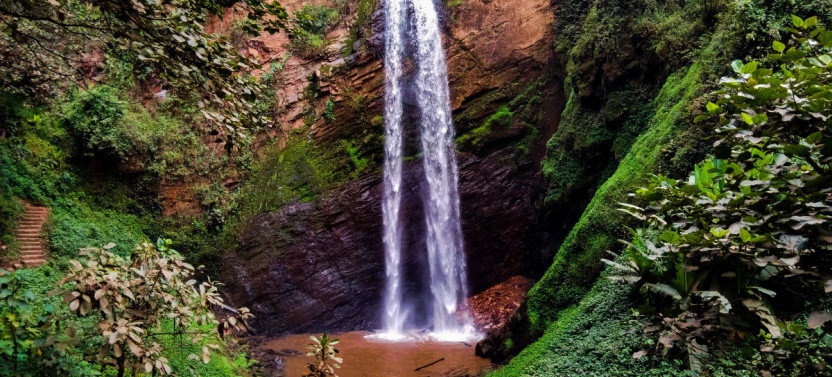 1 Day To Jinja, Sezibwa Falls and Mabira Forest Hike