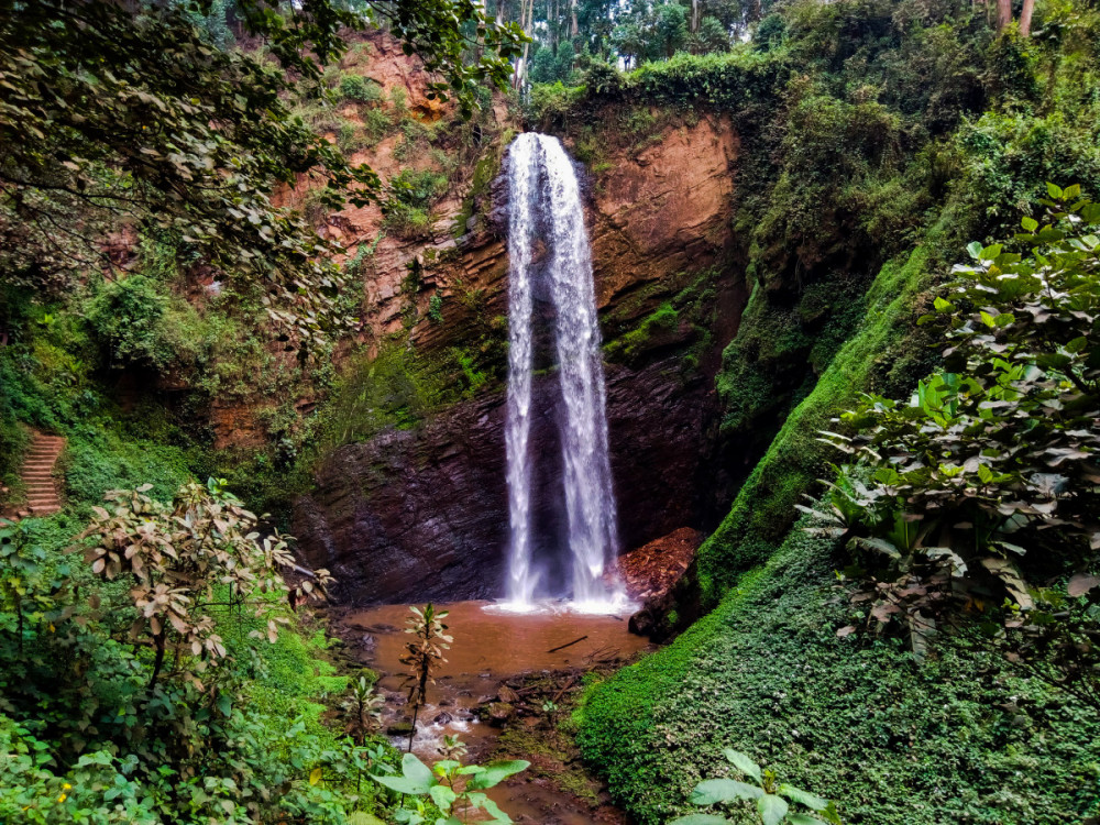 1 Day To Jinja, Sezibwa Falls and Mabira Forest Hike - Kampala ...