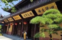 Monster Day Tours Shanghai2