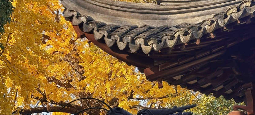 Private Custom Shanghai Walking Tour With Local Guide and Temples