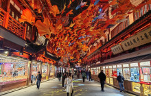 Monster Day Tours Shanghai13