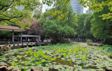 Monster Day Tours Shanghai17