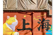 Monster Day Tours Shanghai32
